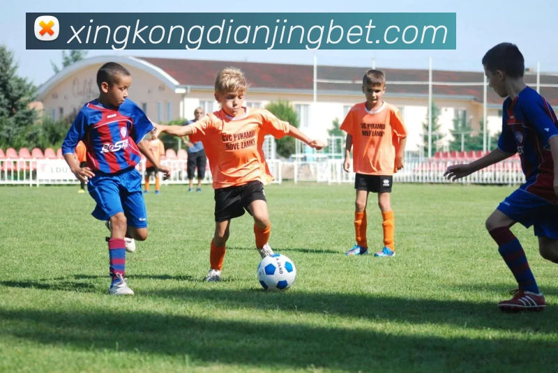 App Interface Preview